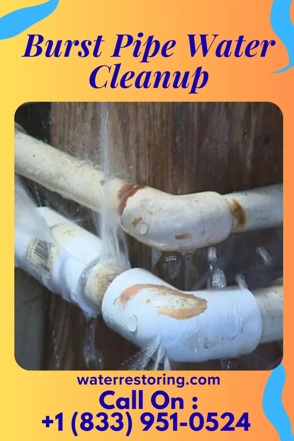 Burst Pipe Water Cleanup in Yogaville, VA