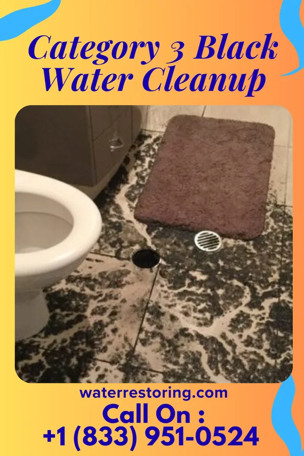 Category 3 Black Water Cleanup in Yogaville, VA