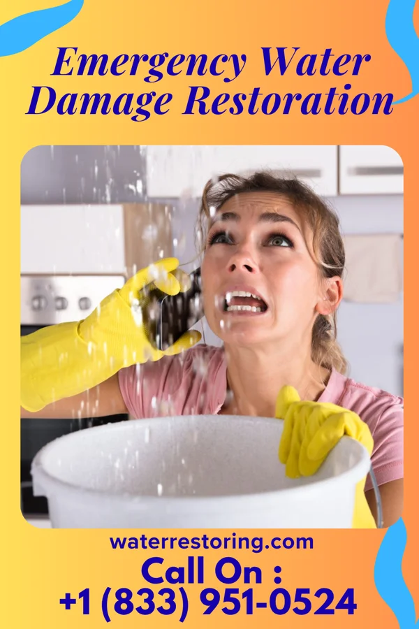 Emergency Water Damage Restoration in Yogaville, VA