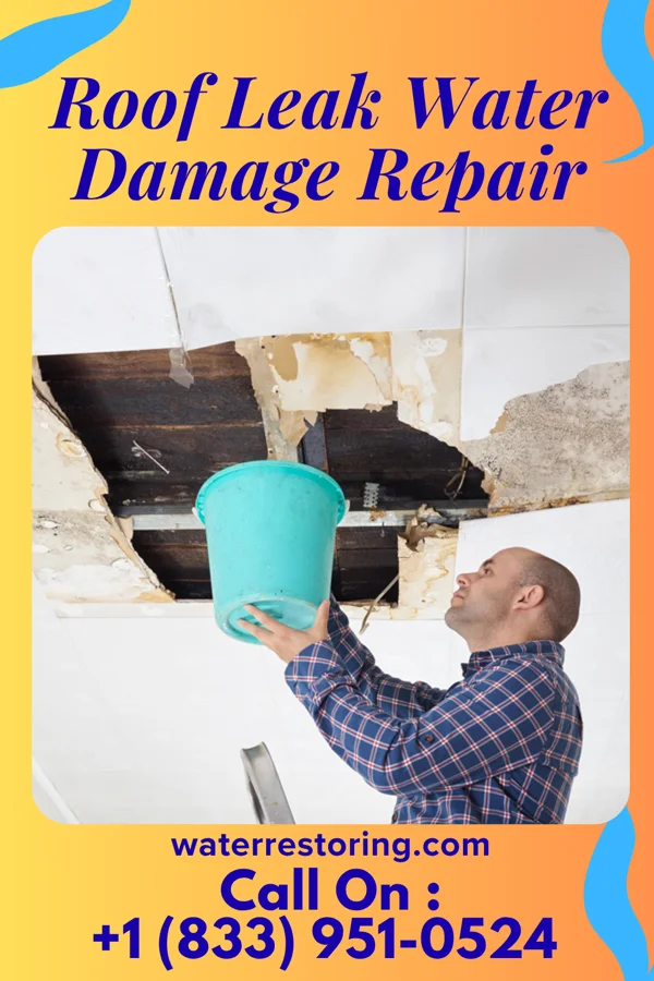 Roof Leak Water Damage Repair in Yogaville, VA