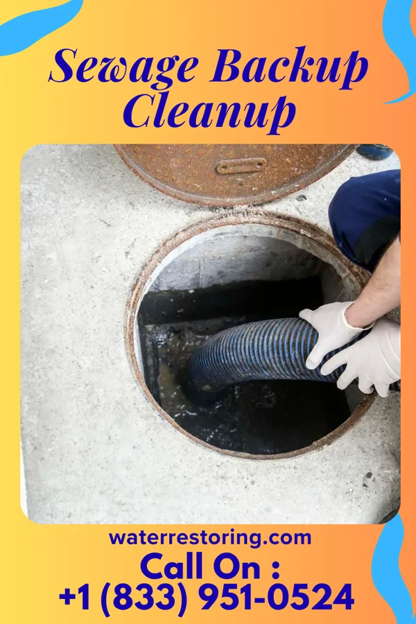 Sewage Backup Cleanup in Yogaville, VA