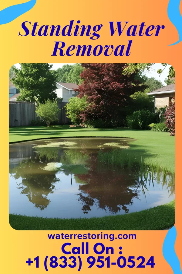 Standing Water Removal in Yogaville, VA
